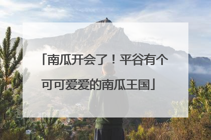 南瓜开会了！平谷有个可可爱爱的南瓜王国