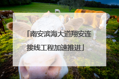 南安滨海大道翔安连接线工程加速推进