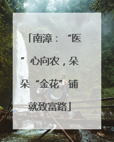 南漳：“医”心向农，朵朵“金花”铺就致富路