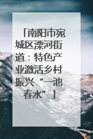 南阳市宛城区溧河街道：特色产业激活乡村振兴“一池春水”