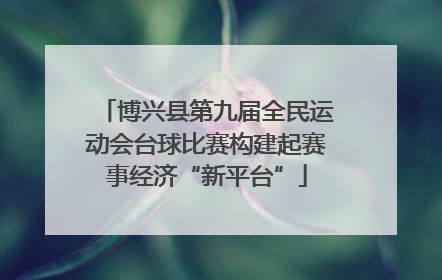 博兴县第九届全民运动会台球比赛构建起赛事经济“新平台”