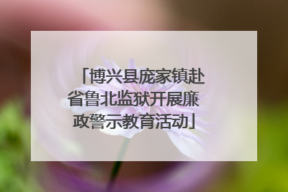 博兴县庞家镇赴省鲁北监狱开展廉政警示教育活动