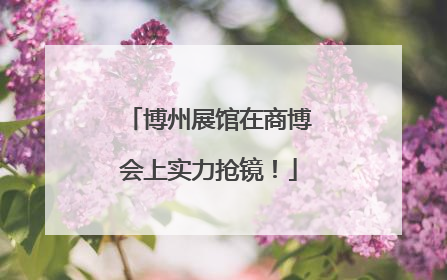 博州展馆在商博会上实力抢镜！