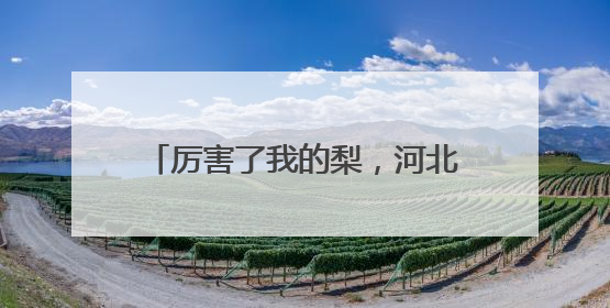 厉害了我的梨，河北鲜梨首次出口阿根廷