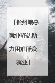 儋州峨蔓就业驿站助力困难群众就业