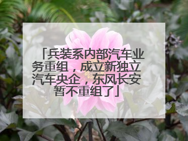 兵装系内部汽车业务重组，成立新独立汽车央企，东风长安暂不重组了