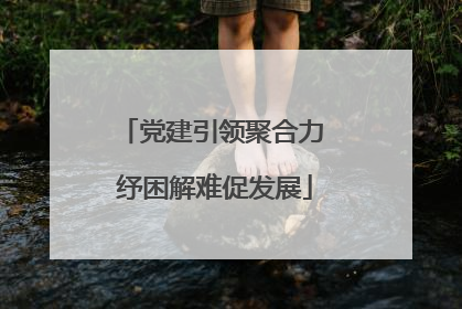 党建引领聚合力 纾困解难促发展