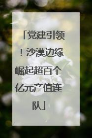 党建引领！沙漠边缘崛起超百个亿元产值连队