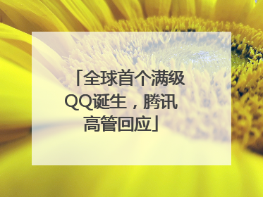 全球首个满级QQ诞生，腾讯高管回应