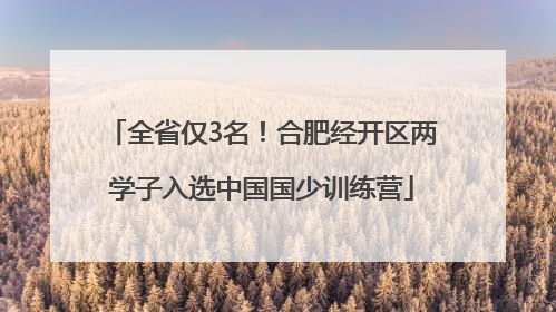 全省仅3名！合肥经开区两学子入选中国国少训练营