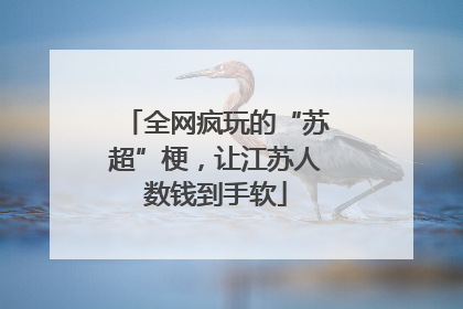 全网疯玩的“苏超”梗，让江苏人数钱到手软