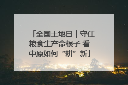 全国土地日｜守住粮食生产命根子 看中原如何“耕”新