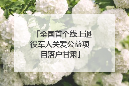 全国首个线上退役军人关爱公益项目落户甘肃