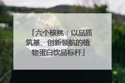 六个核桃：以品质筑基、创新领航的植物蛋白饮品标杆