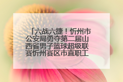 六战六捷！忻州市公安局勇夺第二届山西省男子篮球超级联赛忻州赛区市直职工组比赛冠军