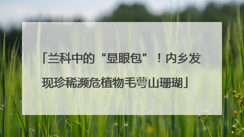 兰科中的“显眼包”！内乡发现珍稀濒危植物毛萼山珊瑚