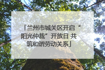兰州市城关区开启“阳光仲裁”开放日 共筑和谐劳动关系