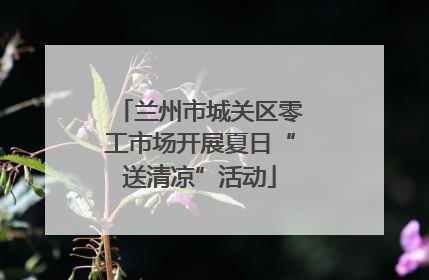 兰州市城关区零工市场开展夏日“送清凉”活动