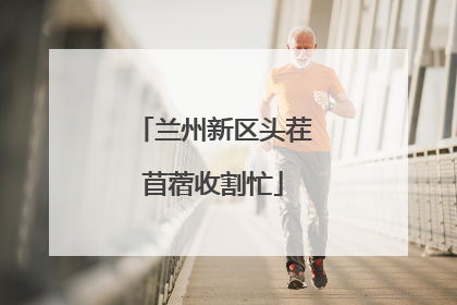 兰州新区头茬苜蓿收割忙