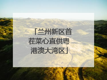 兰州新区首茬菜心直供粤港澳大湾区