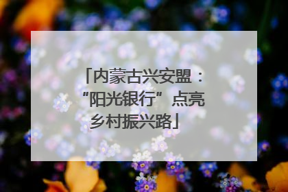 内蒙古兴安盟：“阳光银行”点亮乡村振兴路