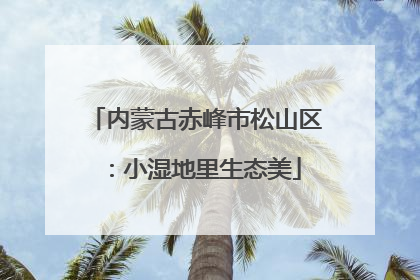内蒙古赤峰市松山区：小湿地里生态美