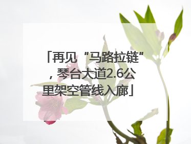 再见“马路拉链”，琴台大道2.6公里架空管线入廊