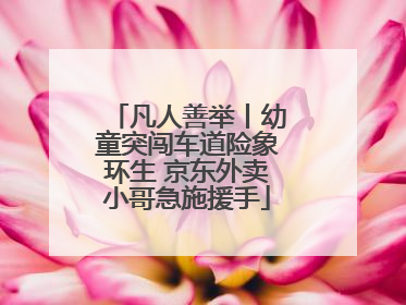 凡人善举丨幼童突闯车道险象环生 京东外卖小哥急施援手