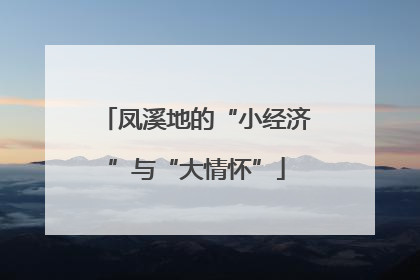 凤溪地的“小经济”与“大情怀”
