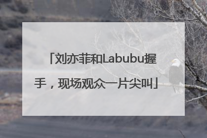 刘亦菲和Labubu握手，现场观众一片尖叫