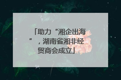 助力“湘企出海”，湖南省湘非经贸商会成立