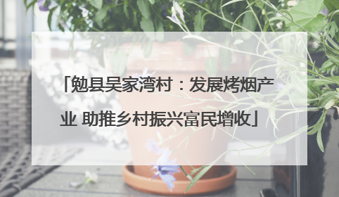勉县吴家湾村：发展烤烟产业 助推乡村振兴富民增收