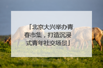 北京大兴举办青春市集，打造沉浸式青年社交场景