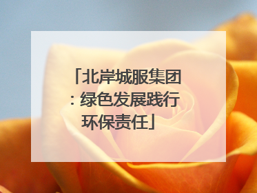 北岸城服集团：绿色发展践行环保责任