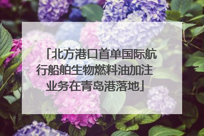 北方港口首单国际航行船舶生物燃料油加注业务在青岛港落地