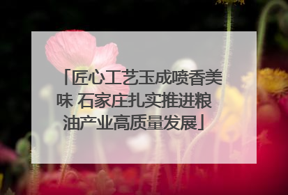 匠心工艺玉成喷香美味 石家庄扎实推进粮油产业高质量发展