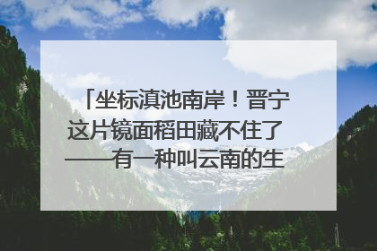 坐标滇池南岸！晋宁这片镜面稻田藏不住了——有一种叫云南的生活之365天