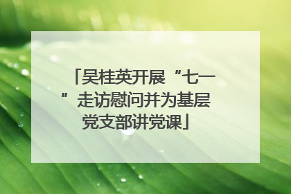 吴桂英开展“七一”走访慰问并为基层党支部讲党课