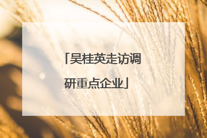 吴桂英走访调研重点企业