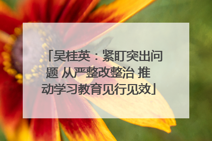吴桂英：紧盯突出问题 从严整改整治 推动学习教育见行见效