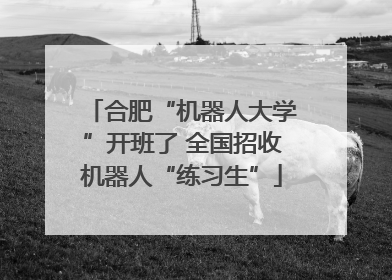 合肥“机器人大学”开班了 全国招收机器人“练习生”