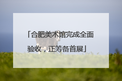 合肥美术馆完成全面验收，正筹备首展