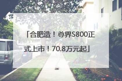 合肥造！尊界S800正式上市！70.8万元起