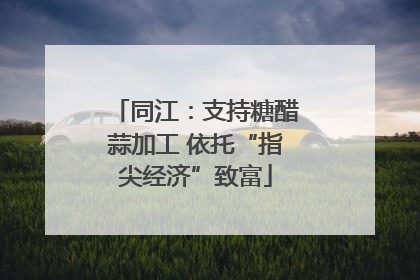 同江：支持糖醋蒜加工 依托“指尖经济”致富