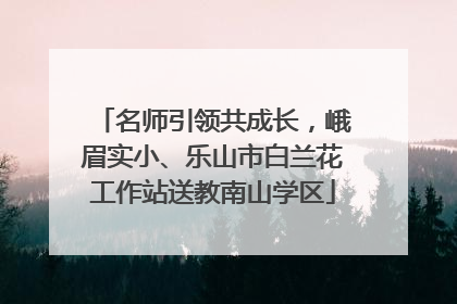 名师引领共成长，峨眉实小、乐山市白兰花工作站送教南山学区