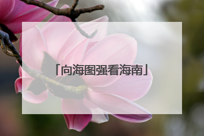 向海图强看海南