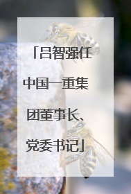 吕智强任中国一重集团董事长、党委书记