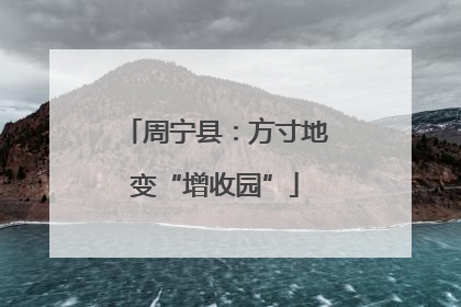 周宁县：方寸地变“增收园”
