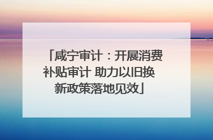咸宁审计：开展消费补贴审计 助力以旧换新政策落地见效