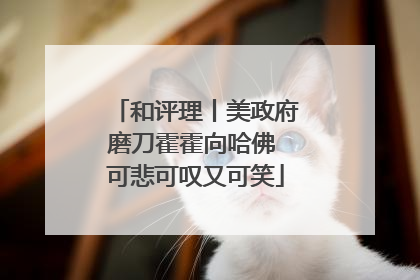 和评理丨美政府磨刀霍霍向哈佛 可悲可叹又可笑